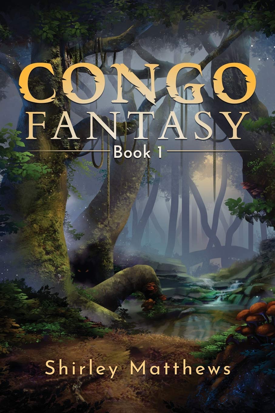 Congo Fantasy: Book 1 